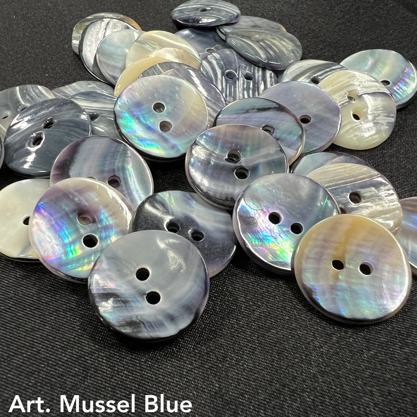 Art. Mussel Blue, Shell